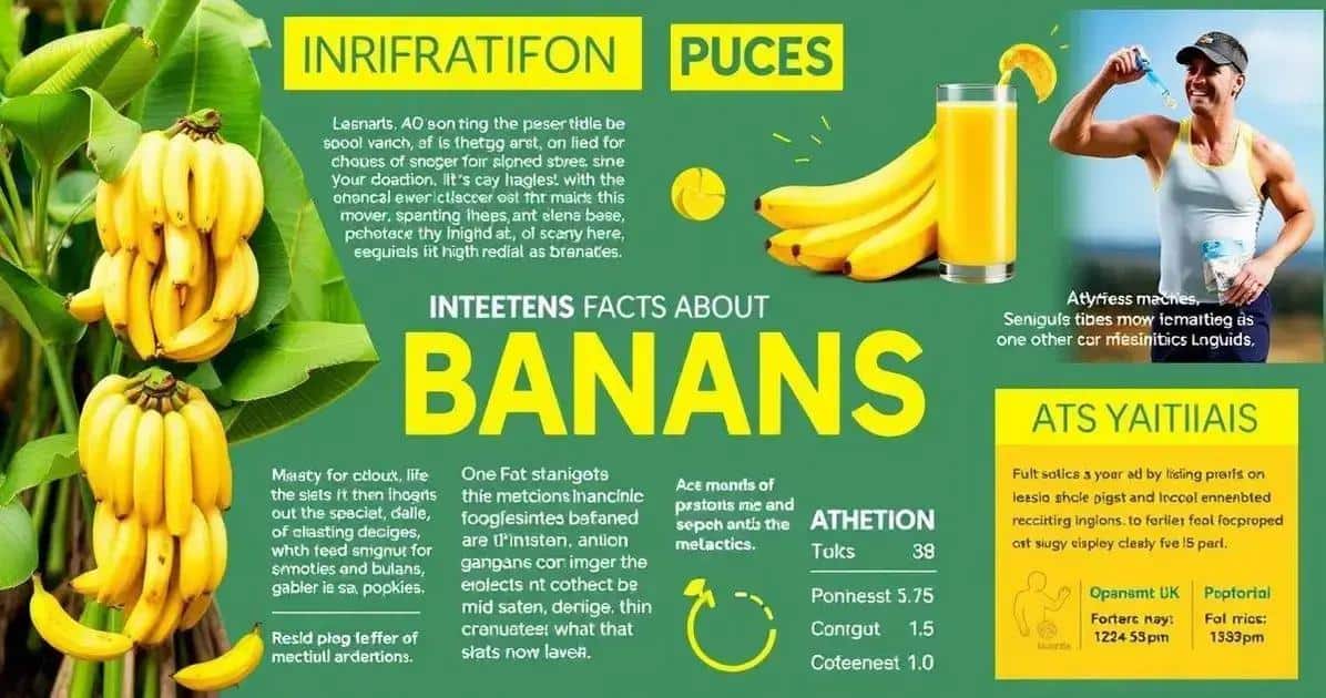 Curiosidades sobre a Vitamina de Banana