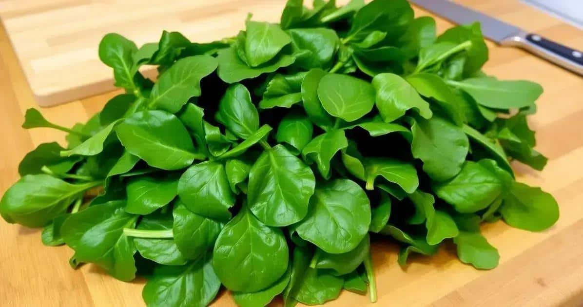 Ingredientes do Espinafre Refogado Simples