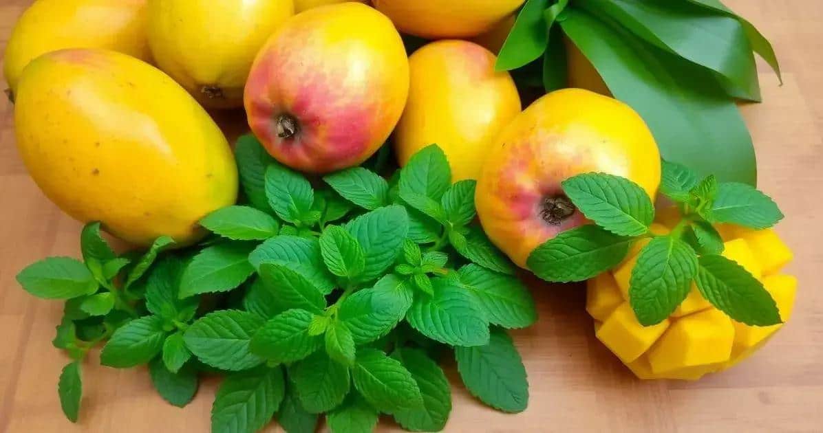 Ingredientes para o Suco de Manga com Hortelã