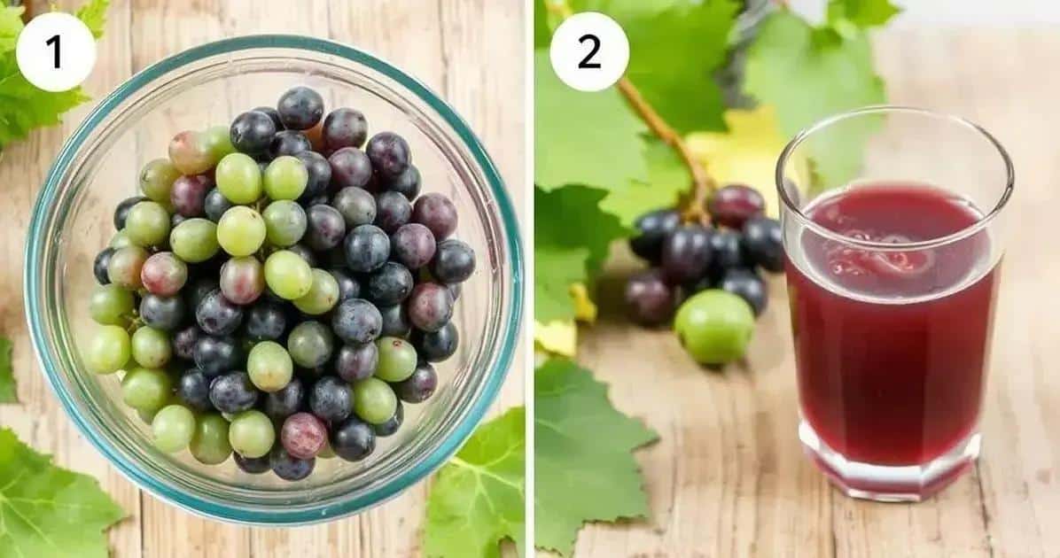 Método de Preparo do Suco de Uva