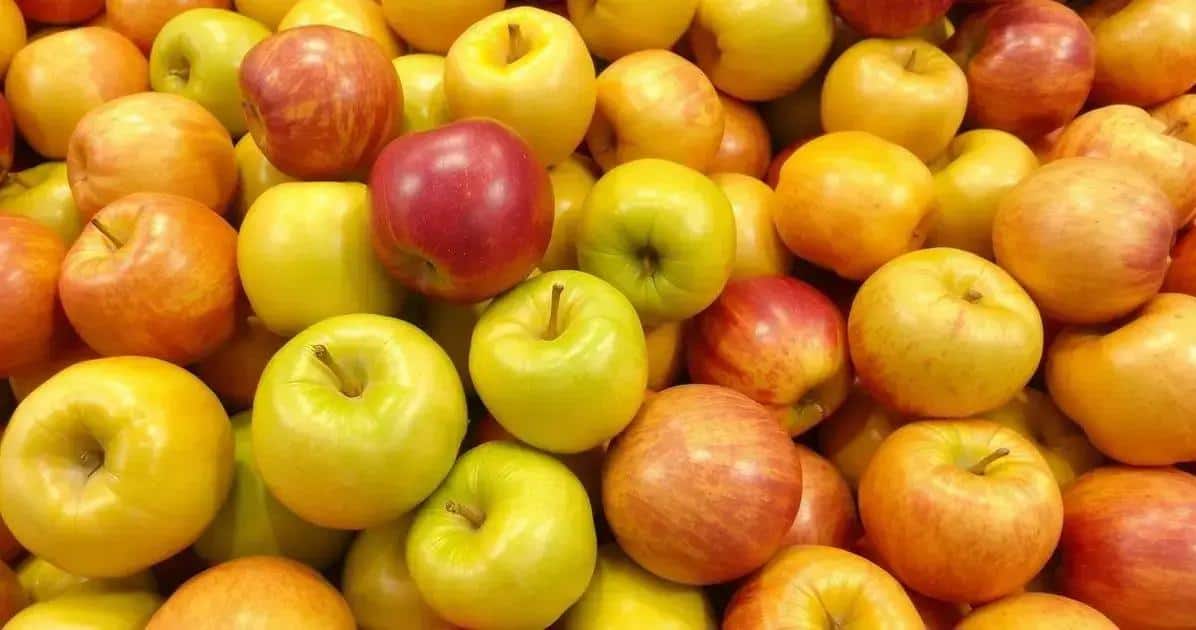Como escolher as melhores maçãs