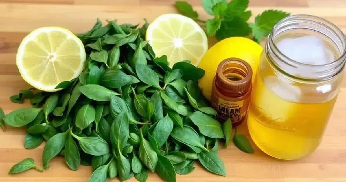 Ingredientes do Chá Verde com Limão Gelado